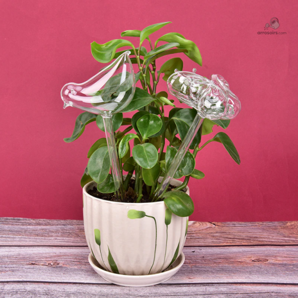 arrosage-goutte-a-goutte-animaux-en-verre-1 Arrosage animaux en verre pour un jardinage pratique