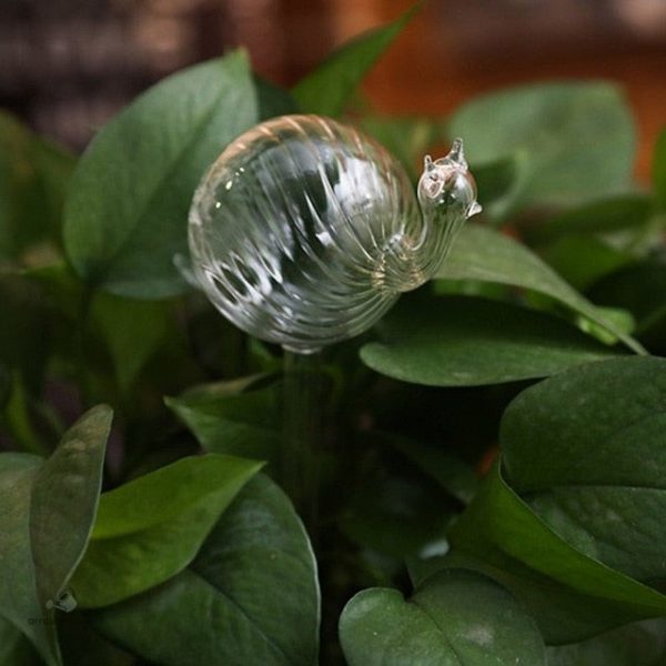 Arrosage écologique en verre pour vos animaux
