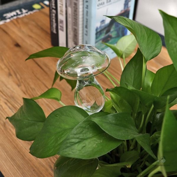Accessoire de jardinage en verre pour un arrosage optimal