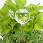 Goutte à goutte en verre, solution pour l'arrosage