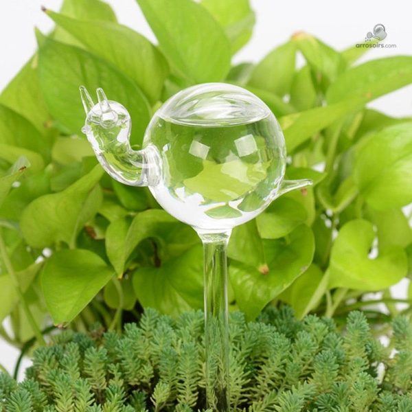 Goutte à goutte en verre, solution pour l'arrosage