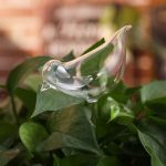 Design moderne d'arrosage en verre pour animaux