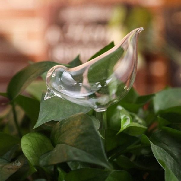 Design moderne d'arrosage en verre pour animaux