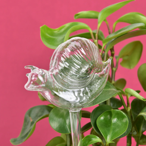 Système d'arrosage goutte à goutte pour animaux en verre
