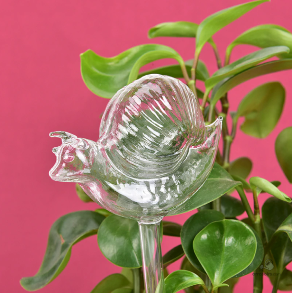 Système d'arrosage goutte à goutte pour animaux en verre