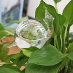 Goutte à goutte en verre pour un arrosage efficace