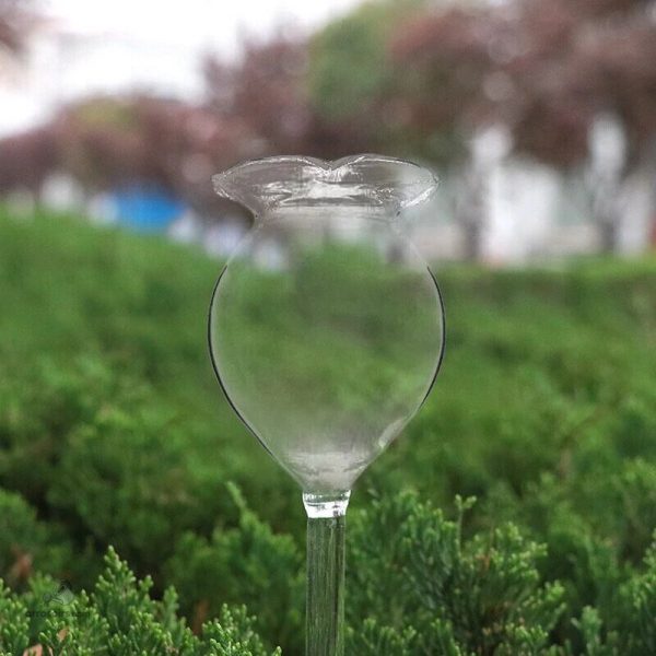 Système d'arrosage en verre, pratique et esthétique