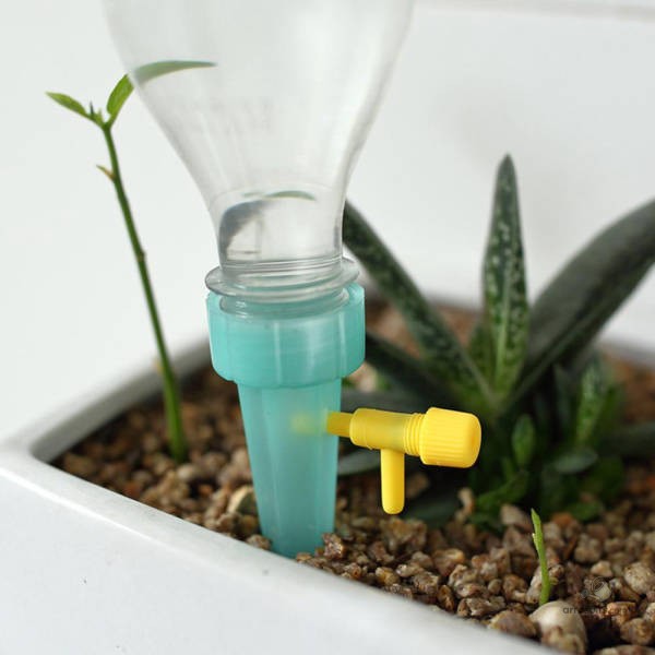 Arrosage goutte-à-goutte