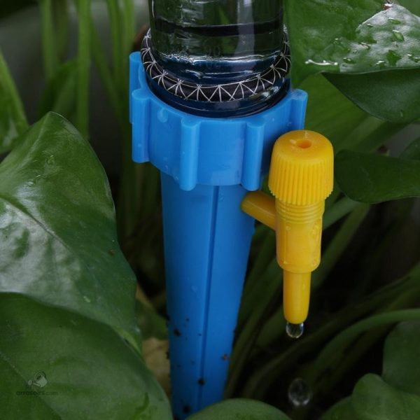 Arrosage goutte à goutte pour économies d'eau