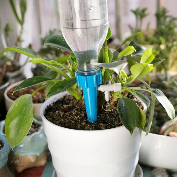Système d'arrosage goutte à goutte en bouteille
