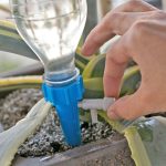 Bouteille d'arrosage pour plantes avec goutte à goutte