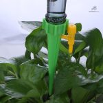Bouteille pour arrosage autonome des plantes