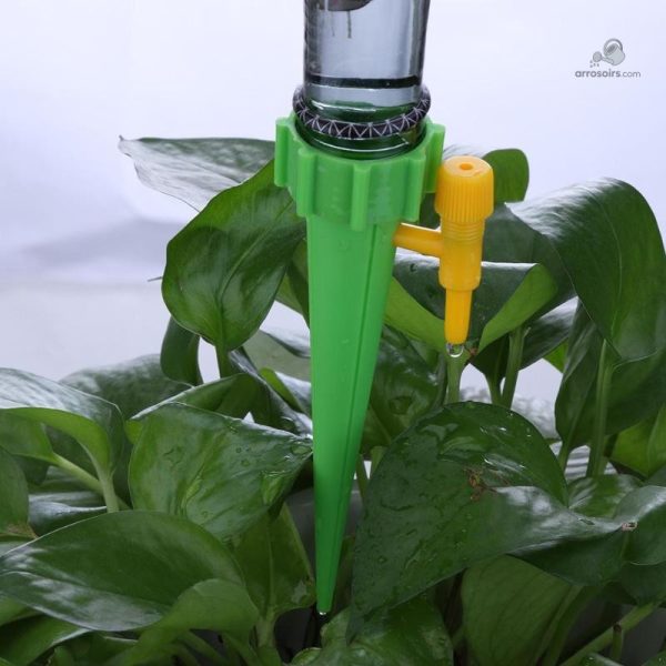 Bouteille pour arrosage autonome des plantes