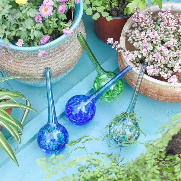 Arrosoir en verre pour un arrosage goutte à goutte précis