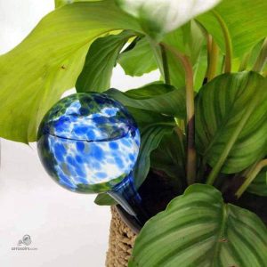Système d'arrosage automatique en verre élégant