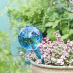 Accessoire d'arrosage en verre pour plantes d'intérieur