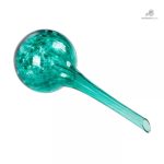 Arrosoir décoratif en verre pour l'arrosage des plantes