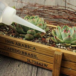 Système de pipette pour irrigation des plantes en pot