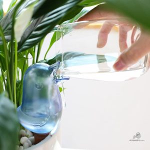 Solution d'arrosage par capillarité pour plantes
