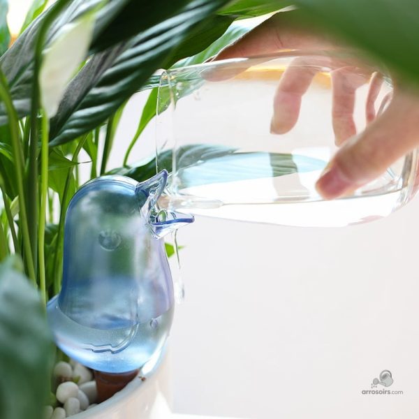 Solution d'arrosage par capillarité pour plantes