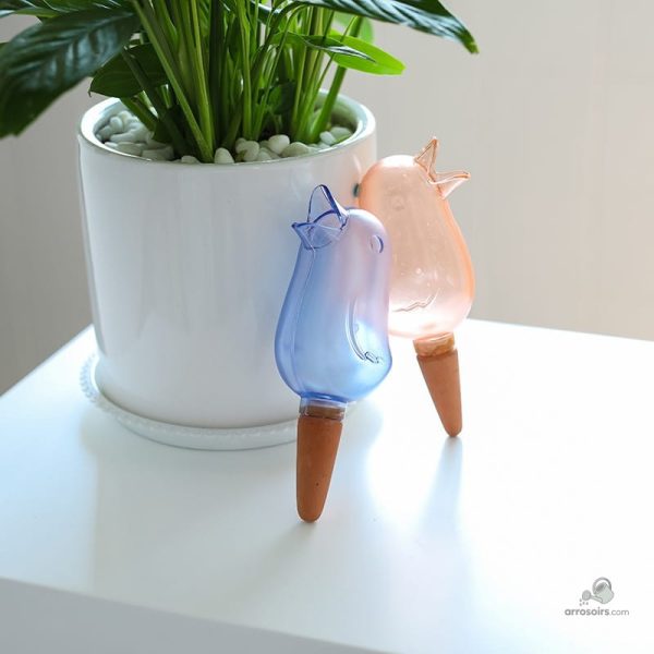 Installation facile de l'arrosage goutte à goutte