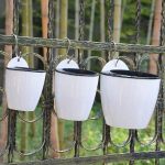 Arrosage par capillarité pour jardin
