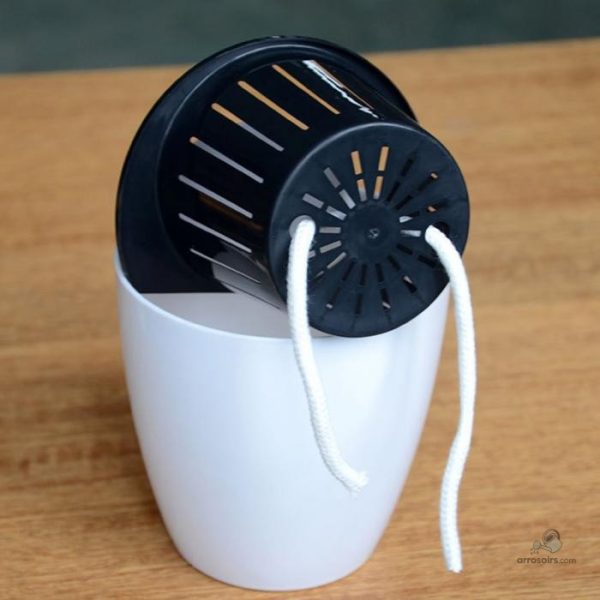 Système d'arrosage autonome pour plantes