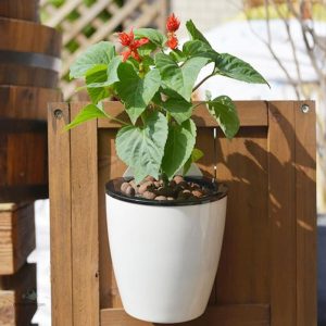 Solution d'arrosage par capillarité efficace
