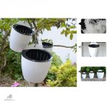 Méthode d'arrosage autonome pour plantes en pot