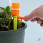 Système d'arrosage pratique avec bouteille d'eau