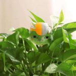 Design élégant d'arrosoir en verre pour plantes