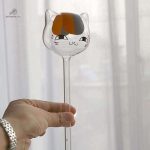 Arrosoir en verre pour un arrosage précis et efficace