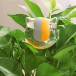 Élégant arrosoir en verre pour soins de jardin