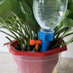 Système d'arrosage goutte à goutte optimal pour plantes