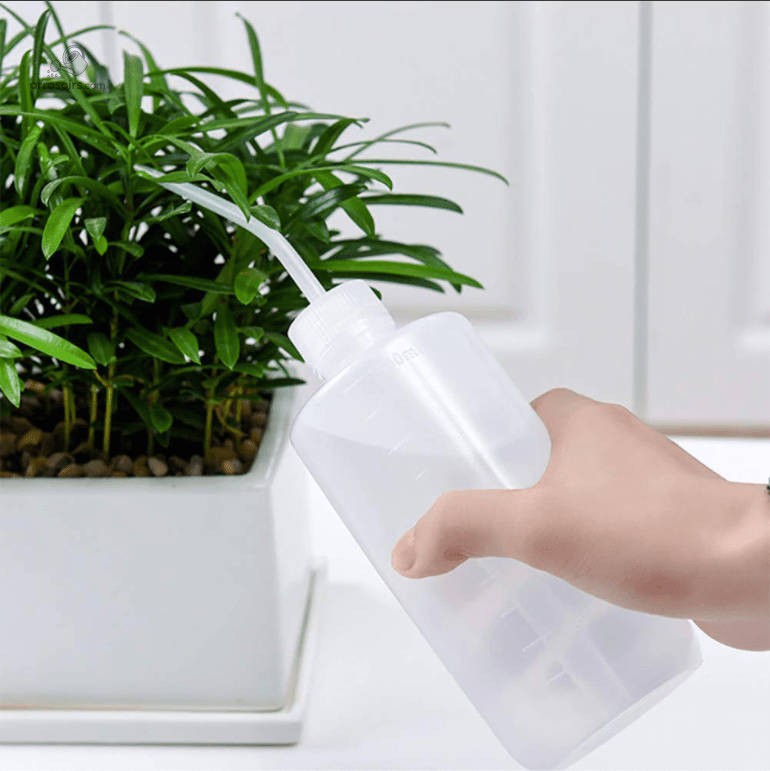 Comment choisir un arrosoir selon vos plantes