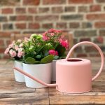 Arrosoir 1 L, idéal pour les pots et jardinières