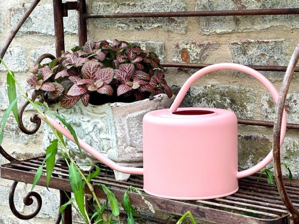 Compact arrosoir 1 L pour un usage domestique
