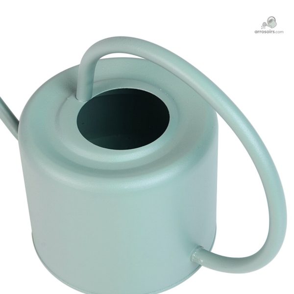 Arrosoir 1 L, parfait pour arroser sans éclaboussures