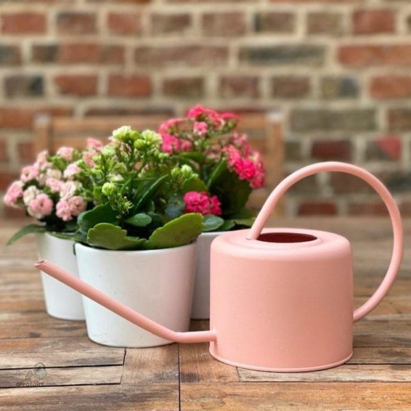 Arrosoir compact de 1 L pour un arrosage précis