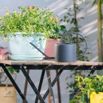 Arrosoir léger de 1 L, parfait pour le jardinage