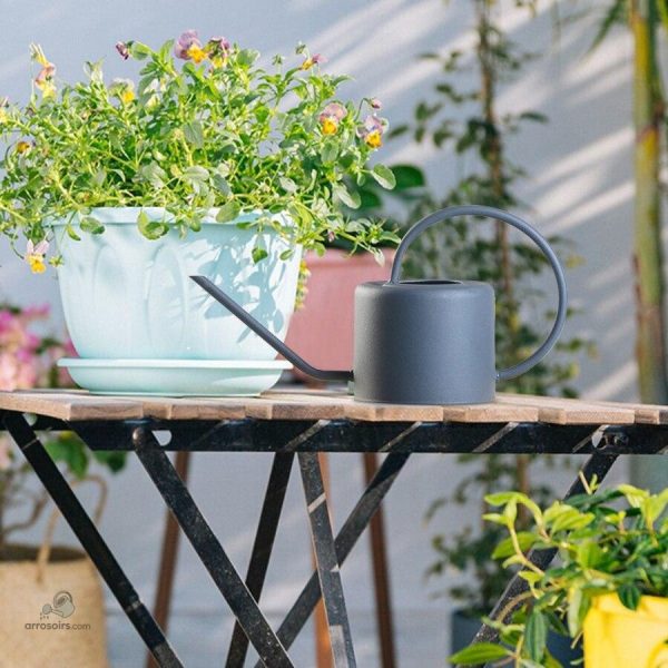 Arrosoir léger de 1 L, parfait pour le jardinage