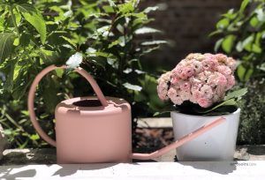 Pratique arrosoir 1 L, adapté aux petites surfaces