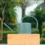 Arrosoir 1 L avec bec verseur pour un arrosage contrôlé