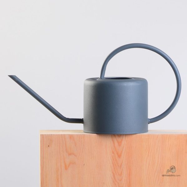 Design fonctionnel de l'arrosoir 1 L pour le jardin