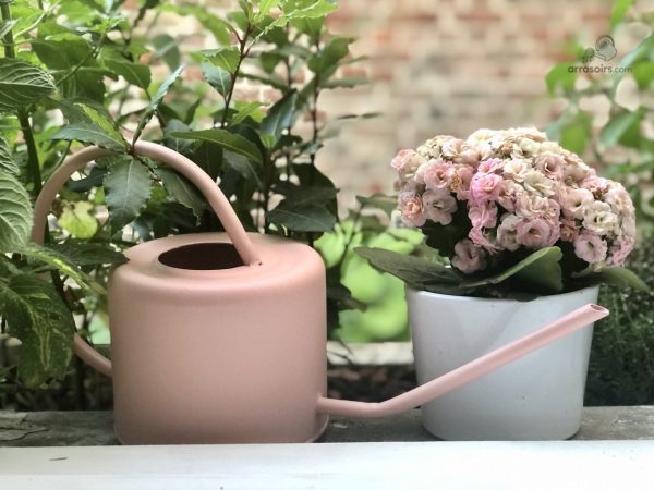 Arrosoir en plastique 1 L, résistant et léger
