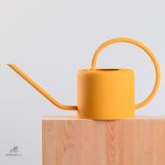 Arrosoir 1 L, outil essentiel pour les amateurs de jardinage