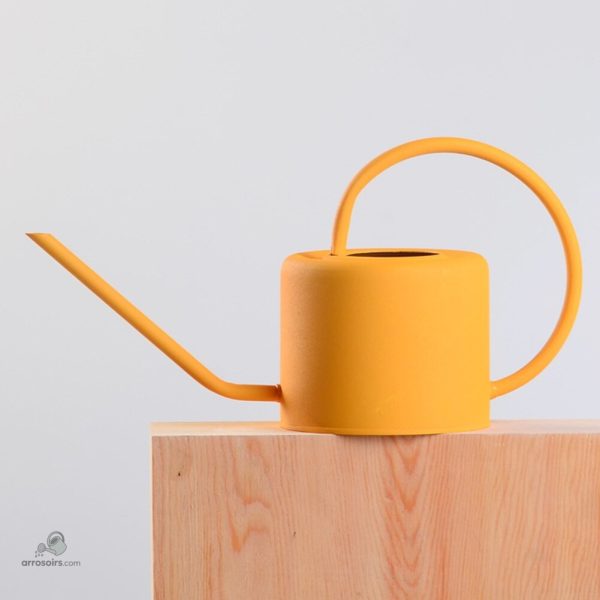 Arrosoir 1 L, outil essentiel pour les amateurs de jardinage