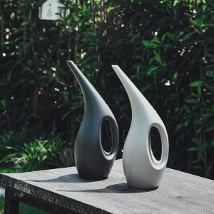 Arrosoir léger de 2 litres pour un arrosage facile