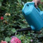 Arrosoir de 5 litres pour un arrosage efficace des plantes