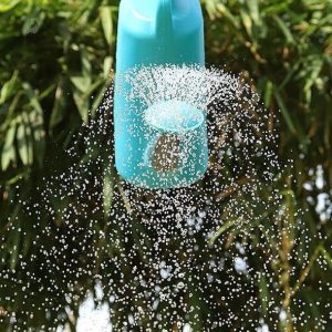 Arrosoir léger de 5 litres pour un arrosage confortable